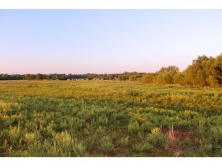 Tract 6 - Stillwater, OK farmland - EXCITING LAND AUCTION! - 128 +/- ACRES OFFERED IN 7 TRACTS OFF HIGHWAY 51 IN STILLWATER, OKLAHOMA